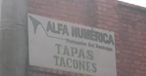 ALFA NUMERICA ALFA NUMERICA